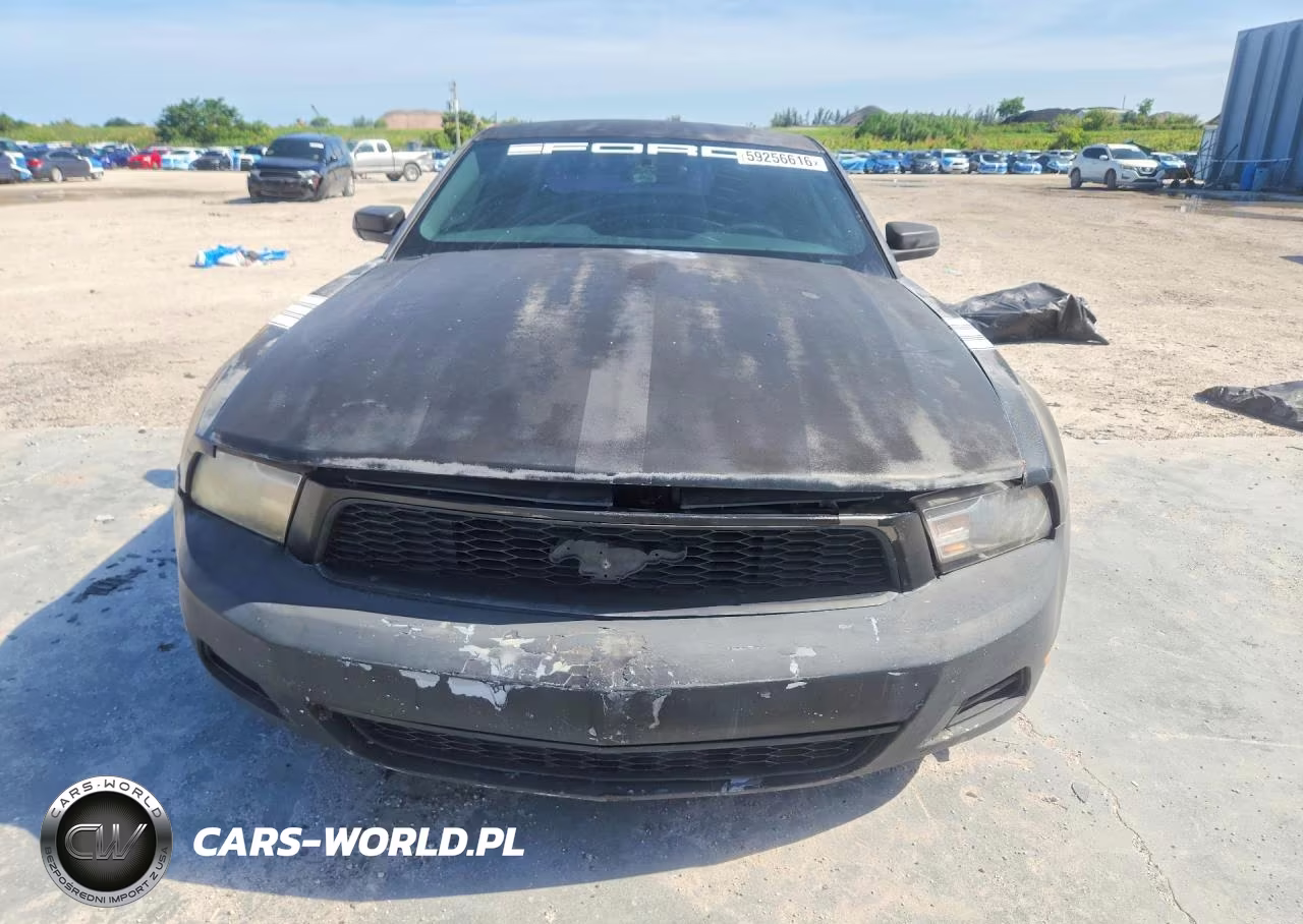 2010 Ford Mustang VIN:1ZVBP8AN3A5143636 - 5