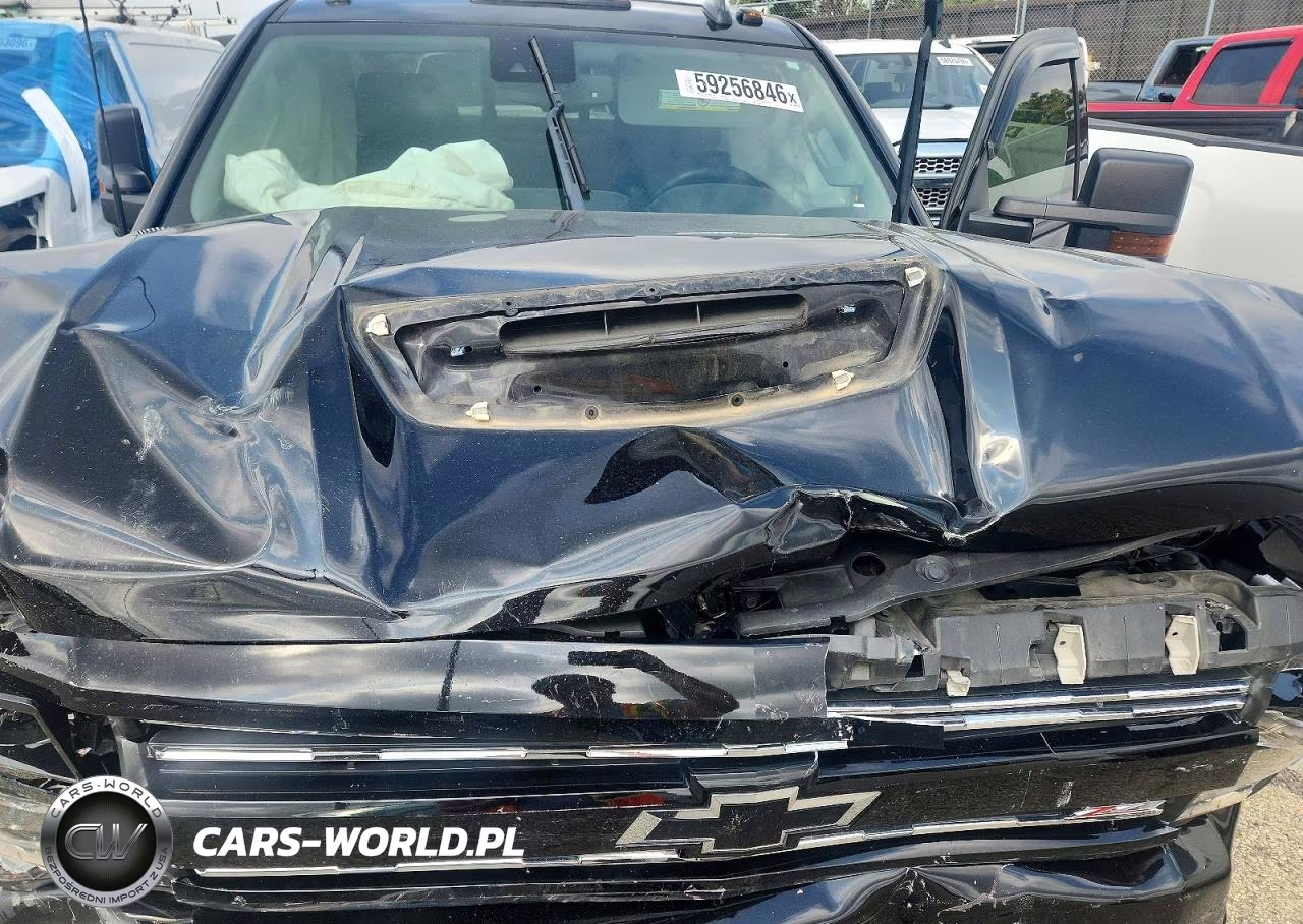2019 Chevrolet Silverado K2500 Heavy Duty Ltz VIN:1GC1KTEY5KF263079 - 12