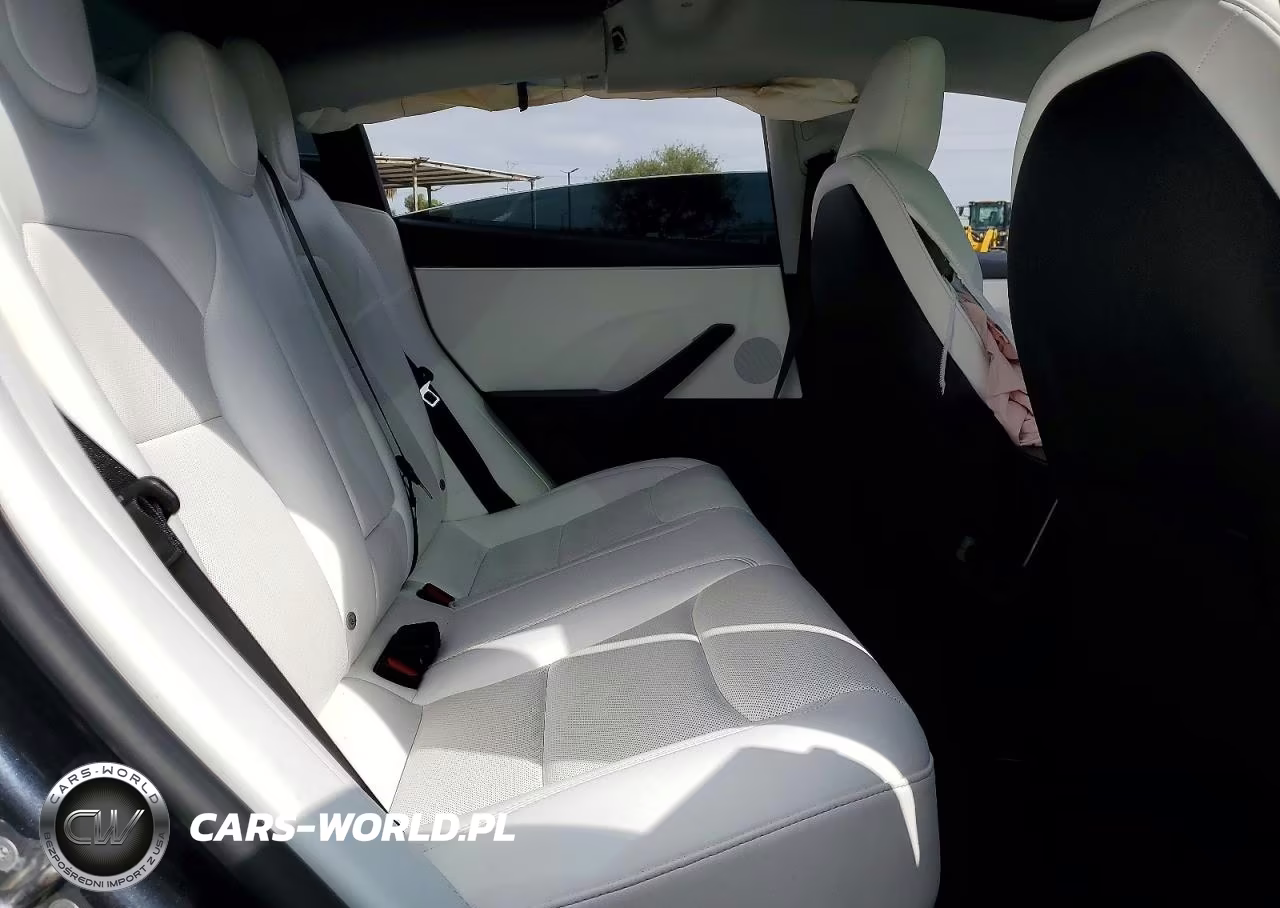 2024 Tesla Model 3 VIN:5YJ3E1EA4RF824247 - 10