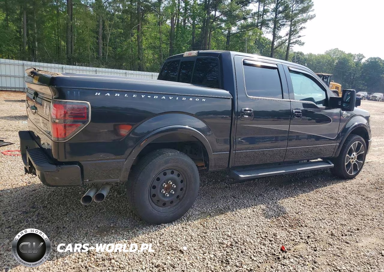 2012 Ford F150 Supercrew VIN:1FTFW1E67CFA98439 - 3