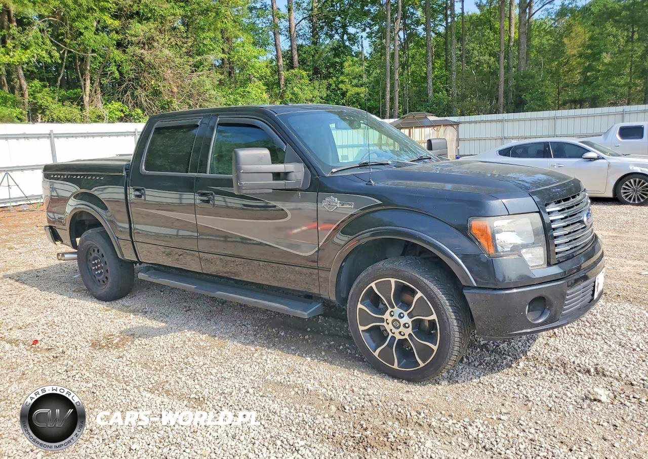 2012 Ford F150 Supercrew VIN:1FTFW1E67CFA98439 - 4