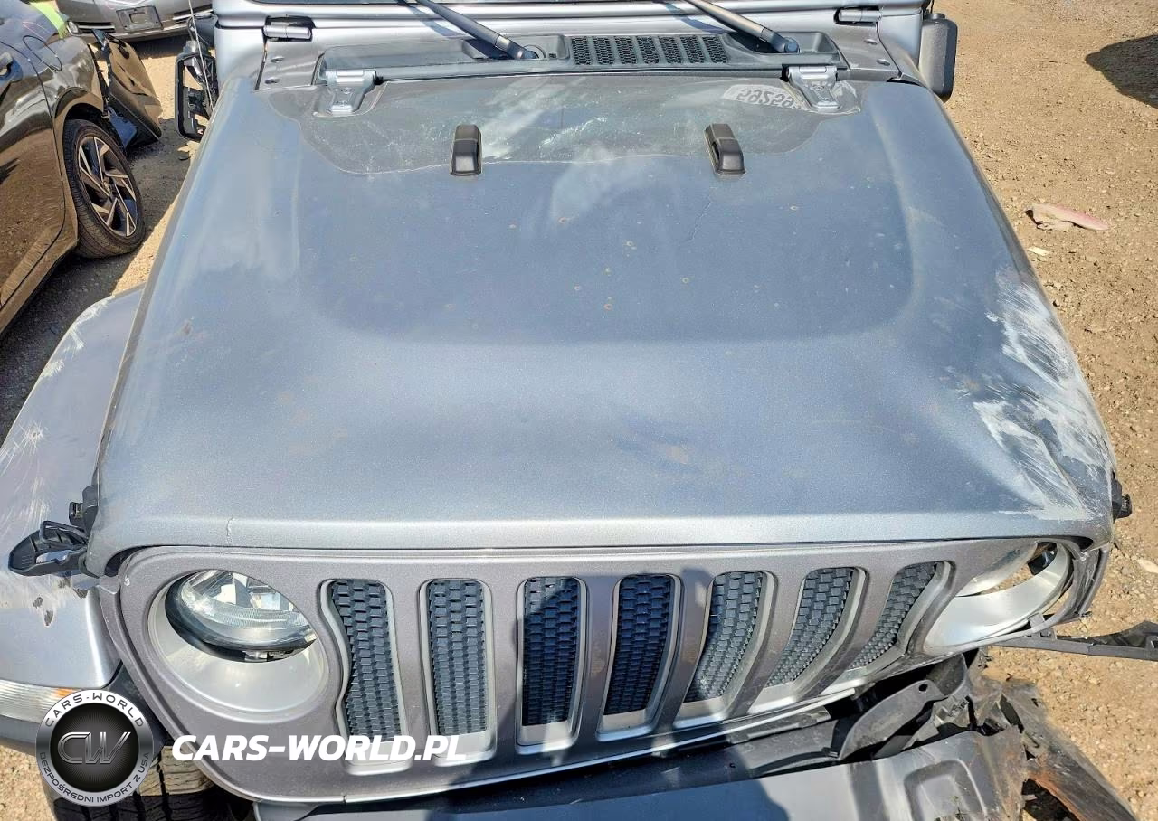2020 Jeep Wrangler Unlimited Sahara VIN:1C4HJXENXLW203301 - 11