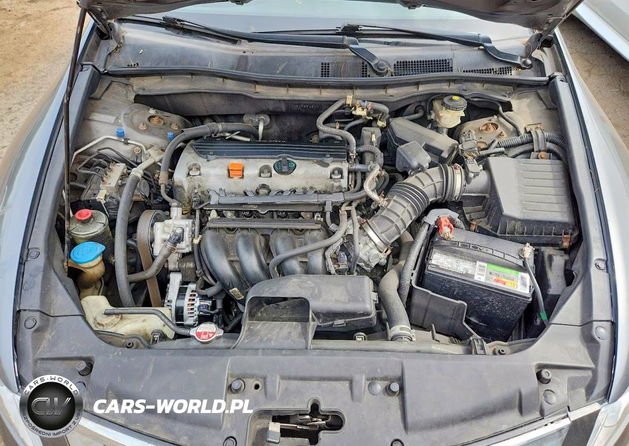 2010 Honda Accord Lxp VIN:1HGCP2F45AA110067 - 11