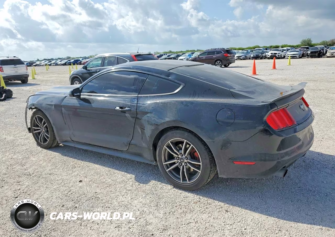 2017 Ford Mustang VIN:1FA6P8TH3H5291300 - 2