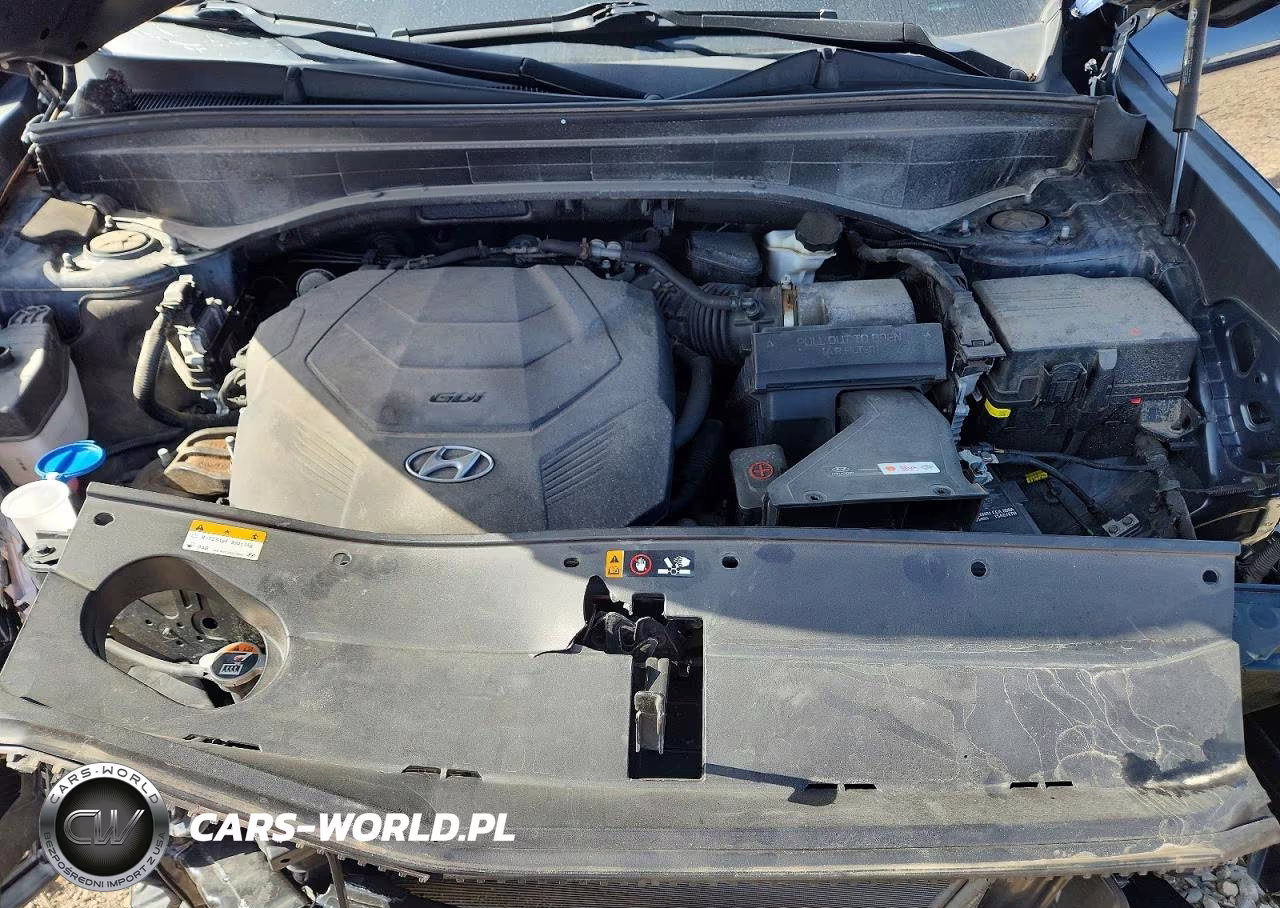 2021 Hyundai Palisade Sel VIN:KM8R2DHE7MU215944 - 12