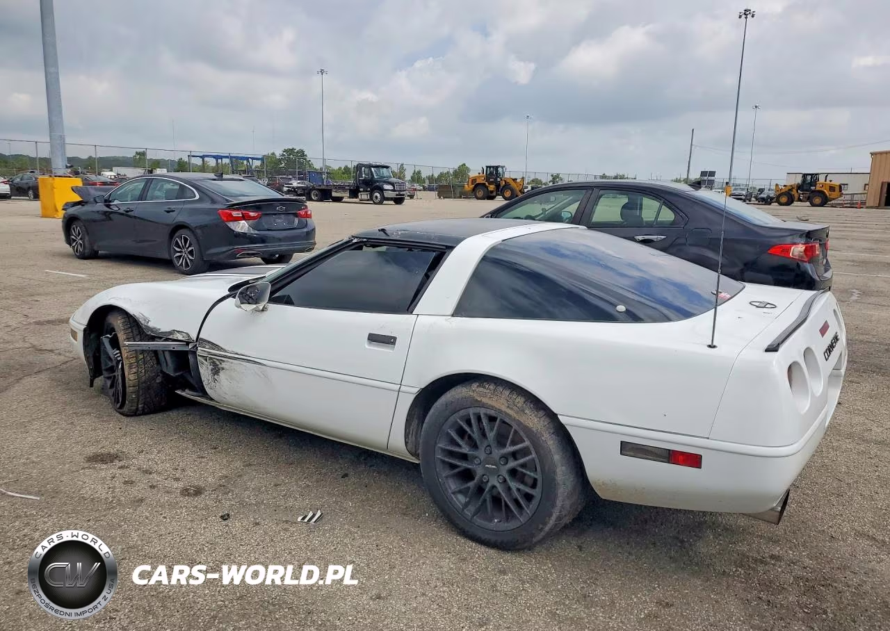 1996 Chevrolet Corvette VIN:1G1YY22P2T5117497 - 2