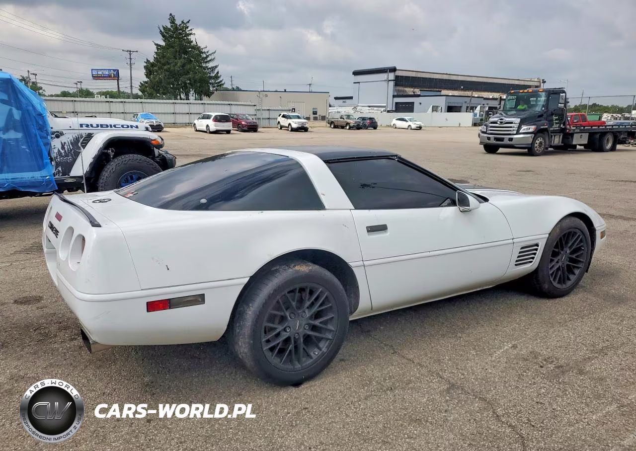 1996 Chevrolet Corvette VIN:1G1YY22P2T5117497 - 3