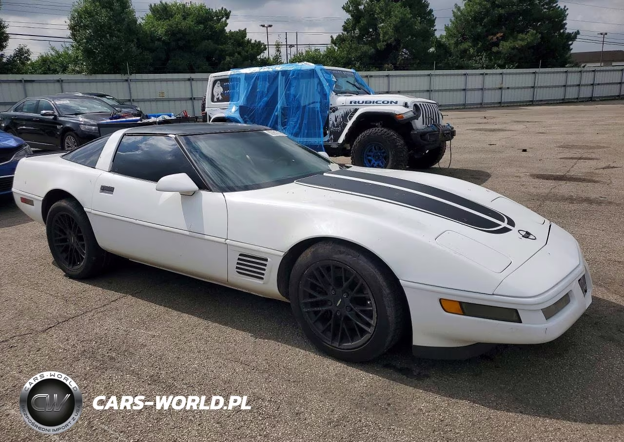 1996 Chevrolet Corvette VIN:1G1YY22P2T5117497 - 4