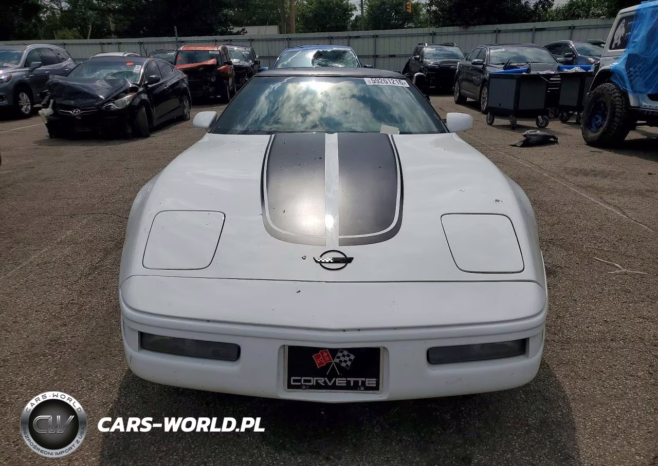 1996 Chevrolet Corvette VIN:1G1YY22P2T5117497 - 5