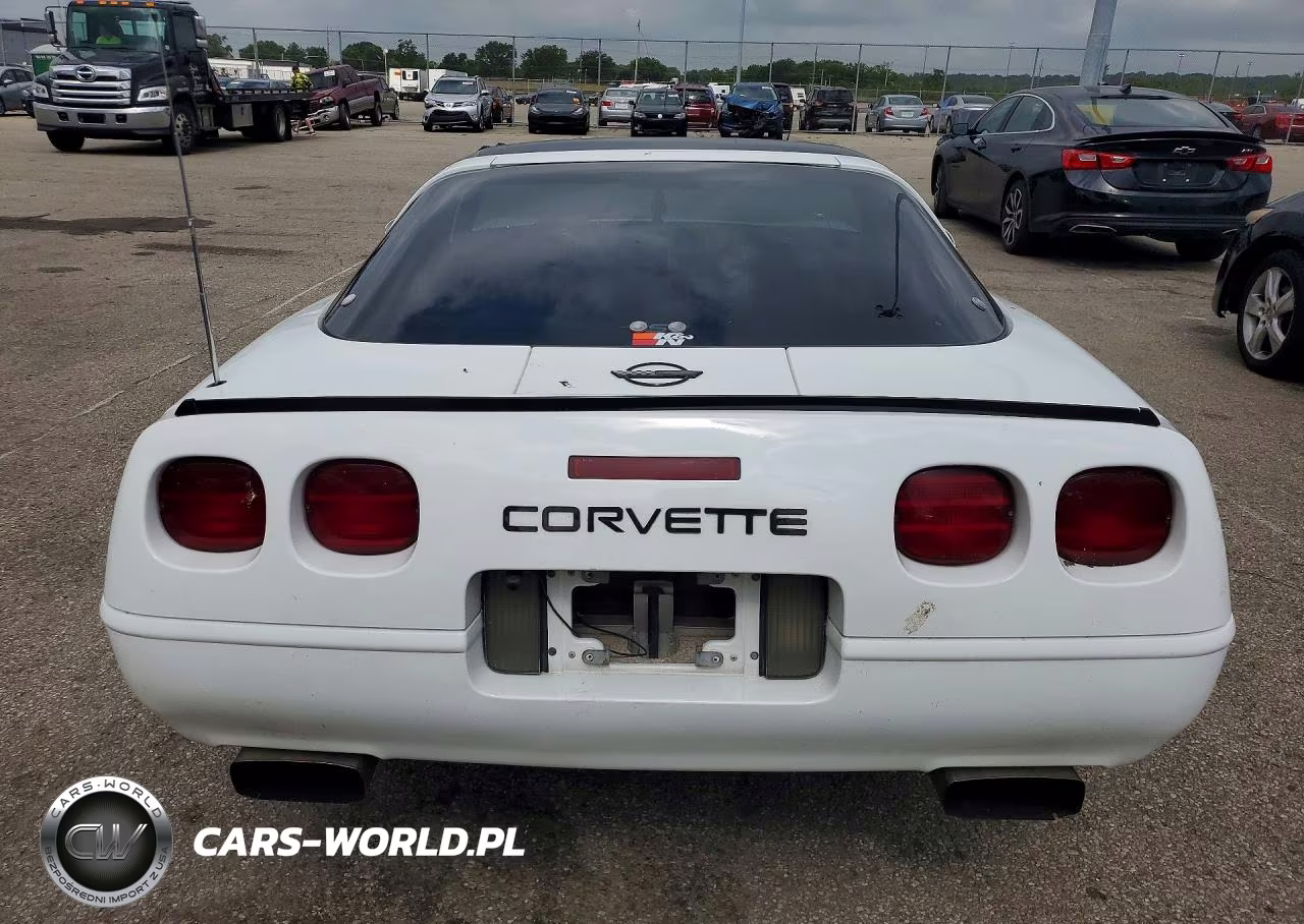 1996 Chevrolet Corvette VIN:1G1YY22P2T5117497 - 6