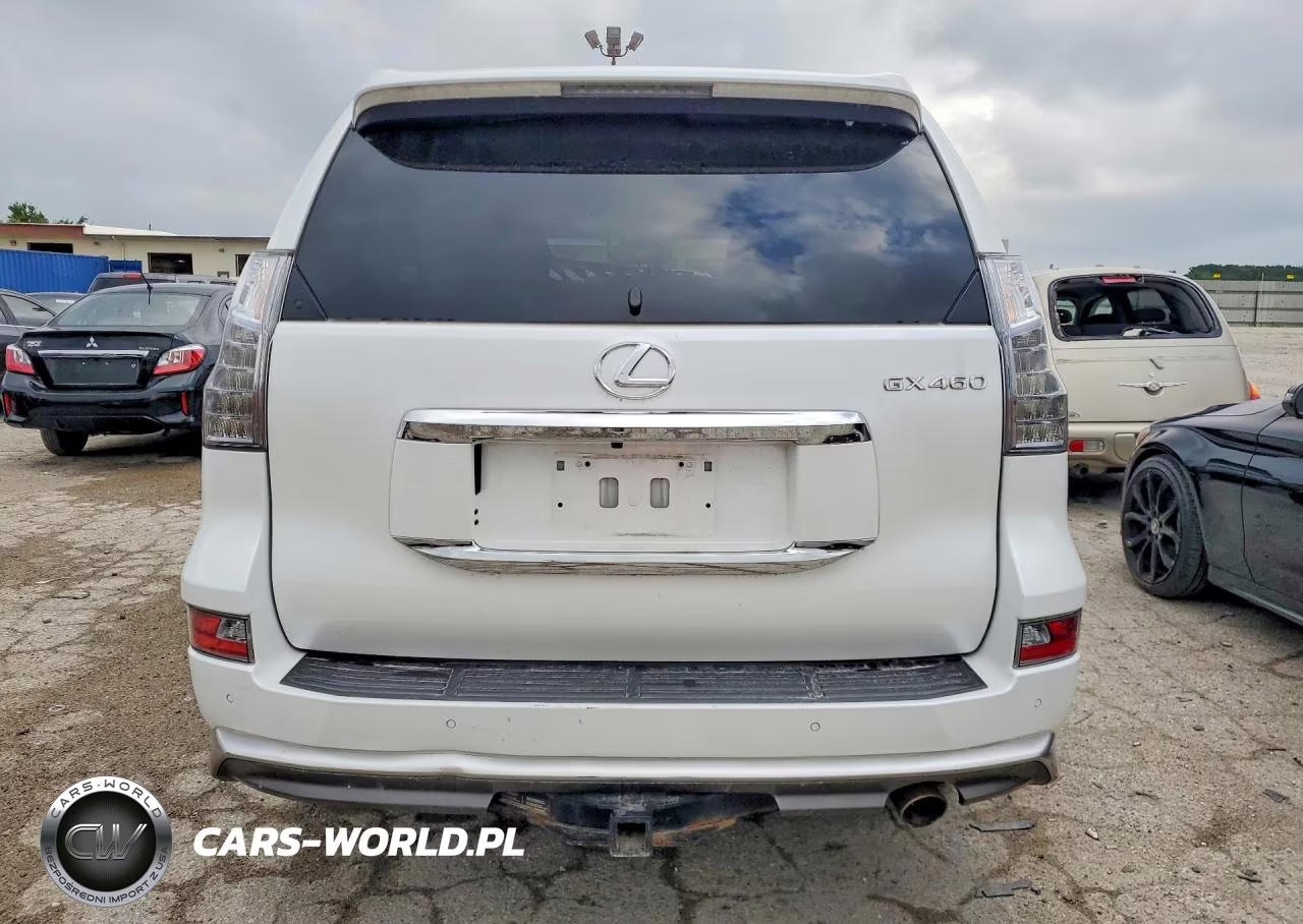 2019 Lexus Gx 460 VIN:JTJBM7FX9K5211419 - 6