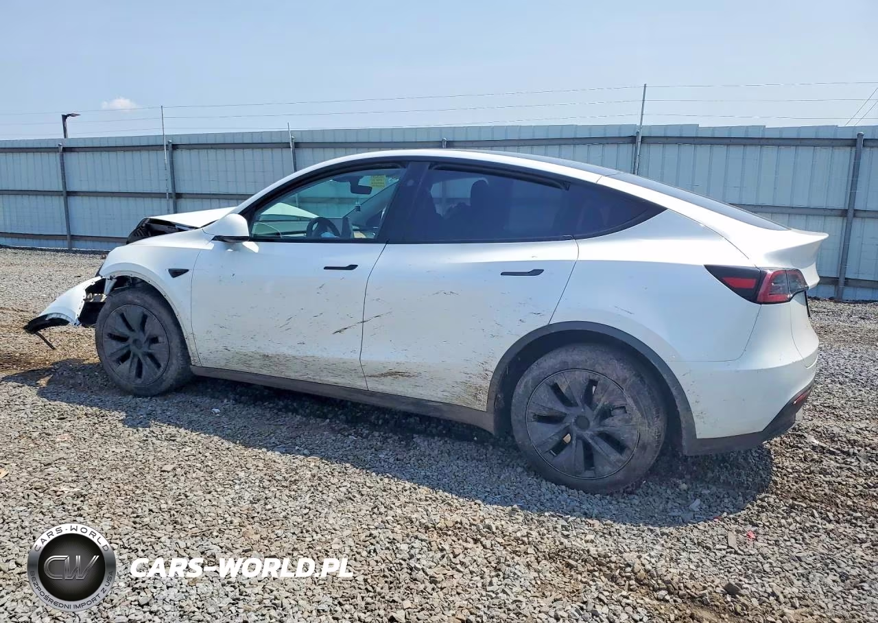 2025 Tesla Model Y VIN:7SAYGDEE9SA344960 - 2