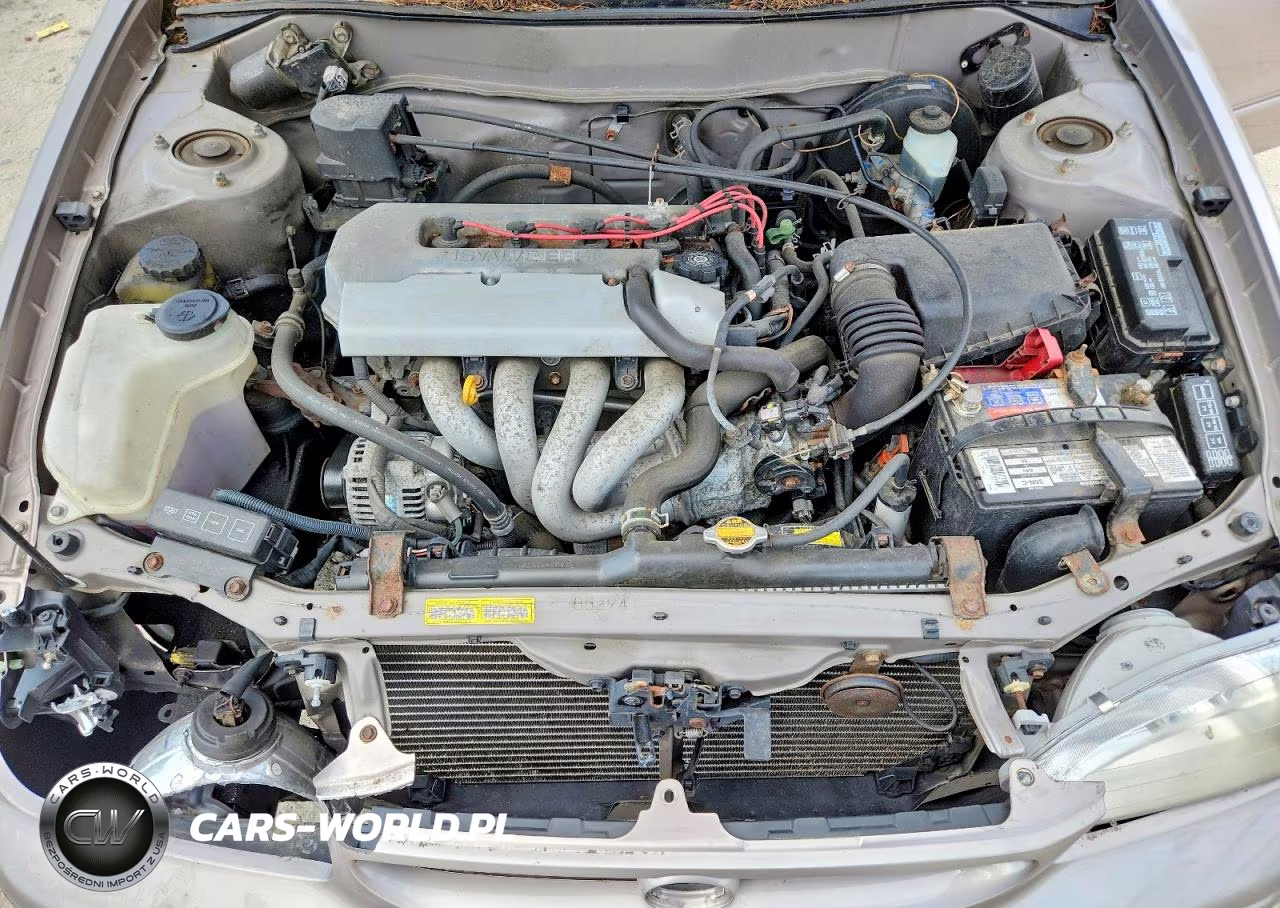 1999 Toyota Corolla VIN:2T1BR18E3XC176030 - 11