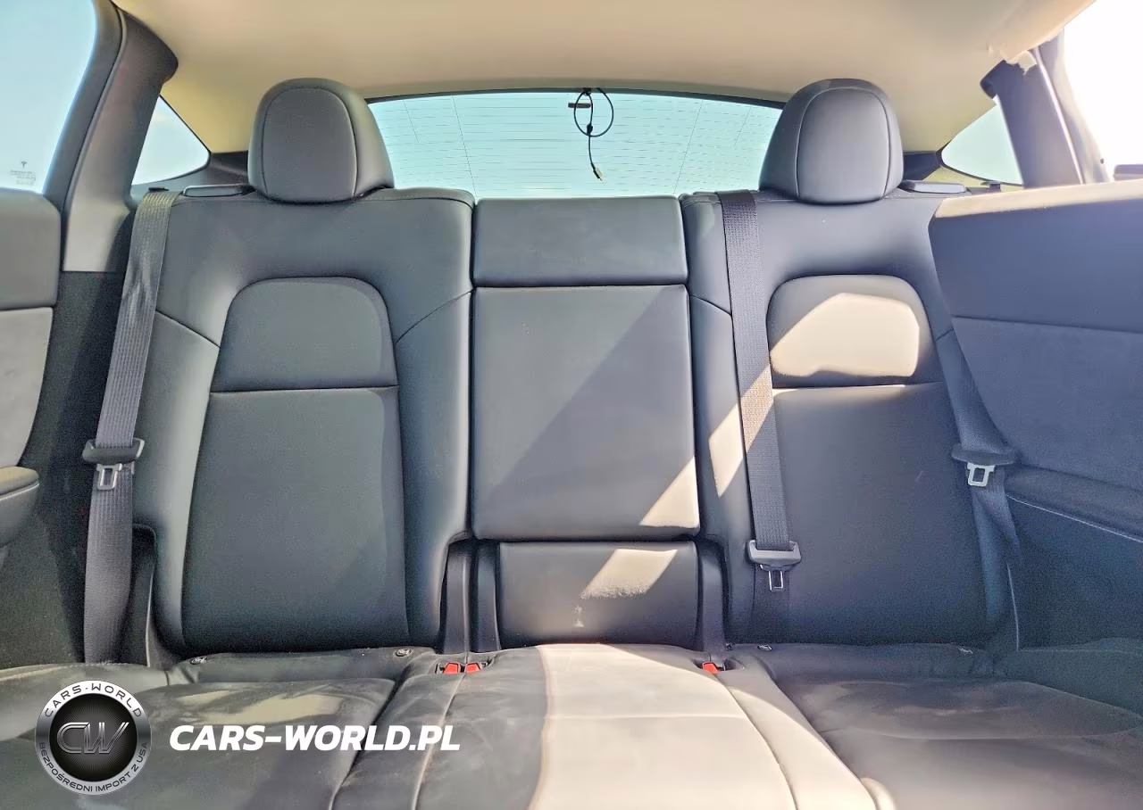 2023 Tesla Model Y VIN:7SAYGDEEXPA064469 - 10
