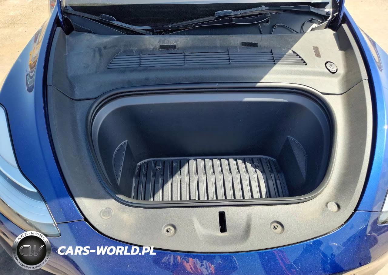 2023 Tesla Model Y VIN:7SAYGDEEXPA064469 - 12