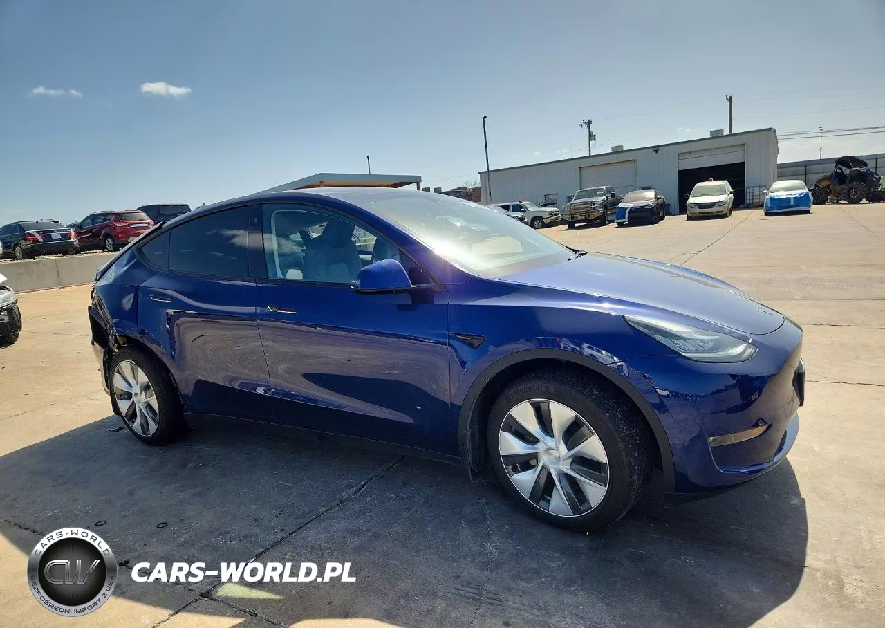 2023 Tesla Model Y VIN:7SAYGDEEXPA064469 - 4