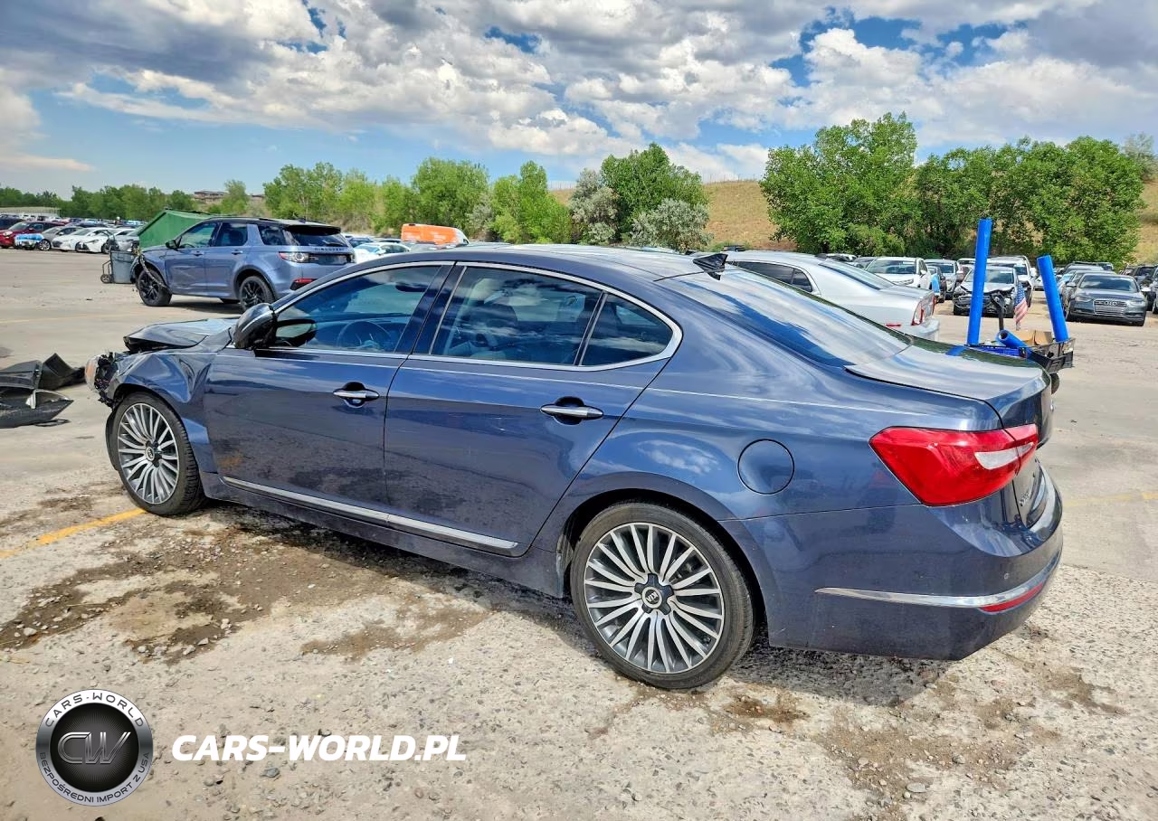 2014 Kia Cadenza Premium VIN:KNALN4D75E5124950 - 2
