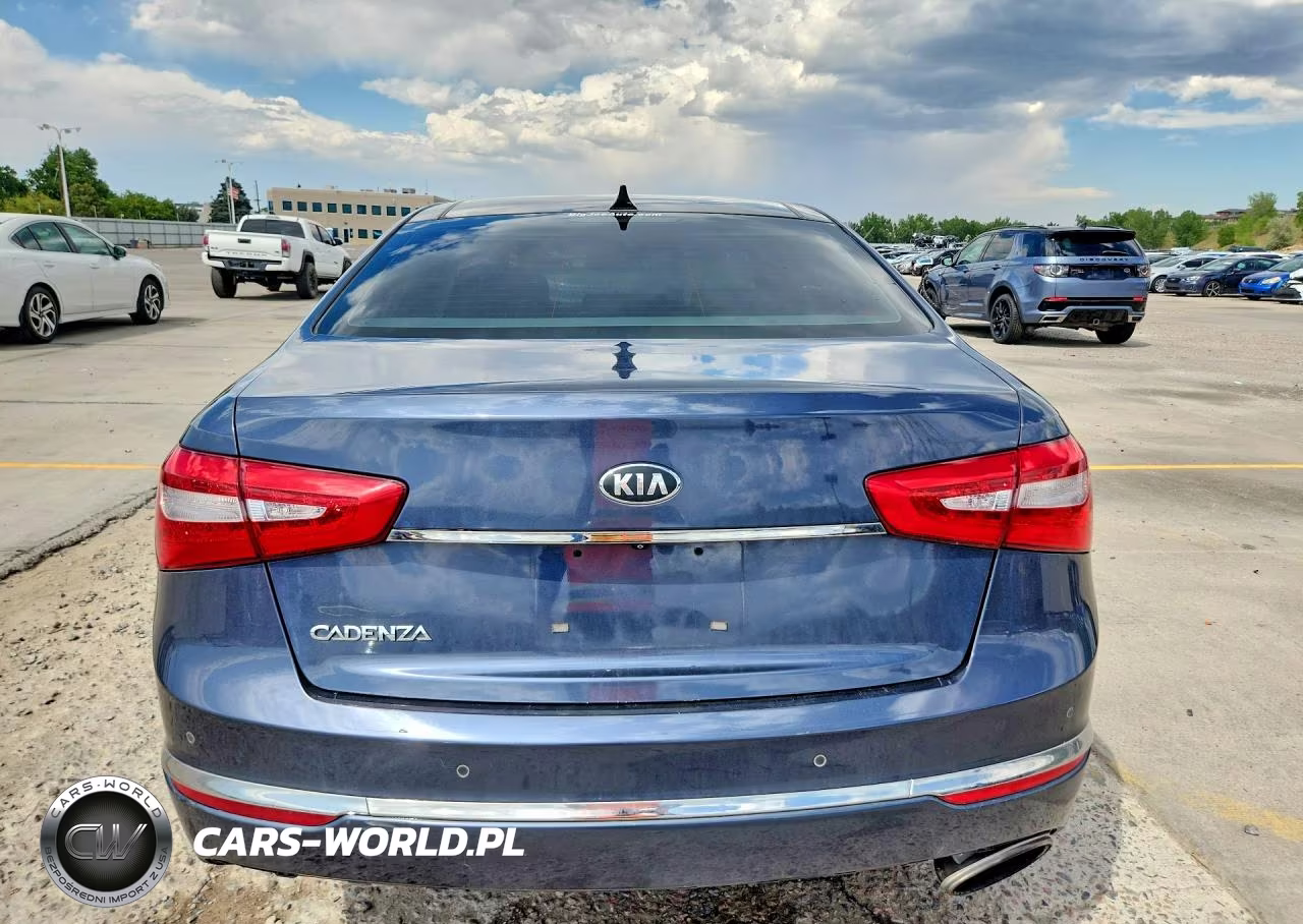 2014 Kia Cadenza Premium VIN:KNALN4D75E5124950 - 6