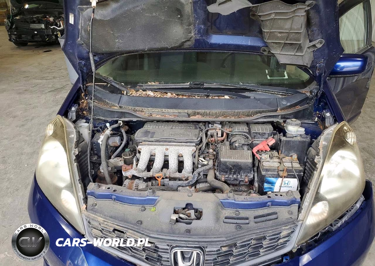 2013 Honda Fit Sport VIN:JHMGE8H56DC019010 - 12