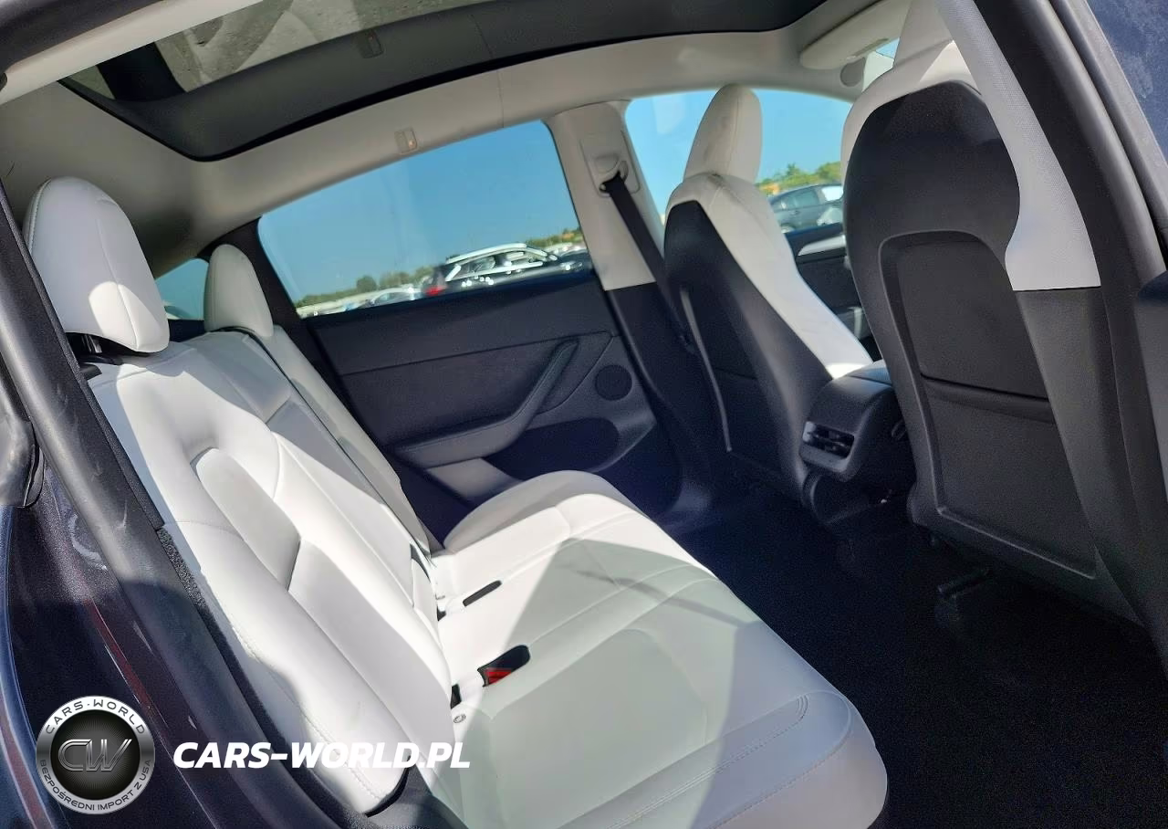 2024 Tesla Model Y VIN:7SAYGDED1RF009051 - 10
