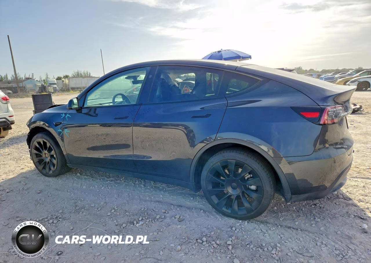 2024 Tesla Model Y VIN:7SAYGDED1RF009051 - 2