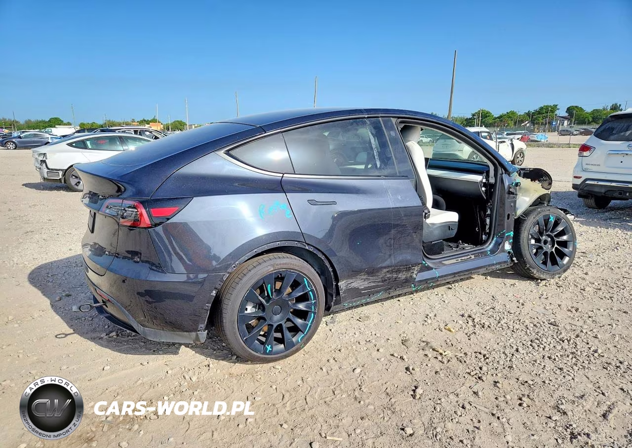 2024 Tesla Model Y VIN:7SAYGDED1RF009051 - 3