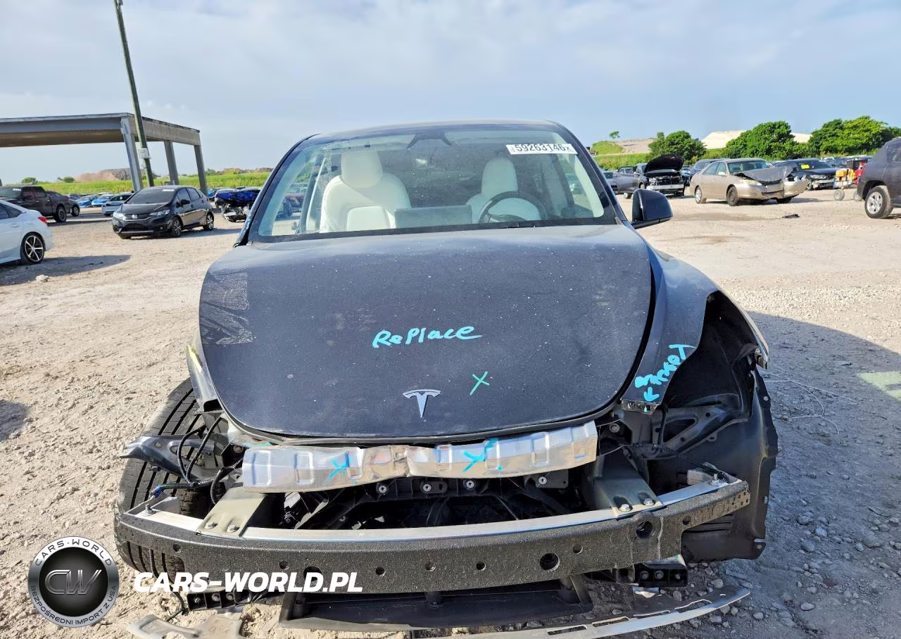 2024 Tesla Model Y VIN:7SAYGDED1RF009051 - 5