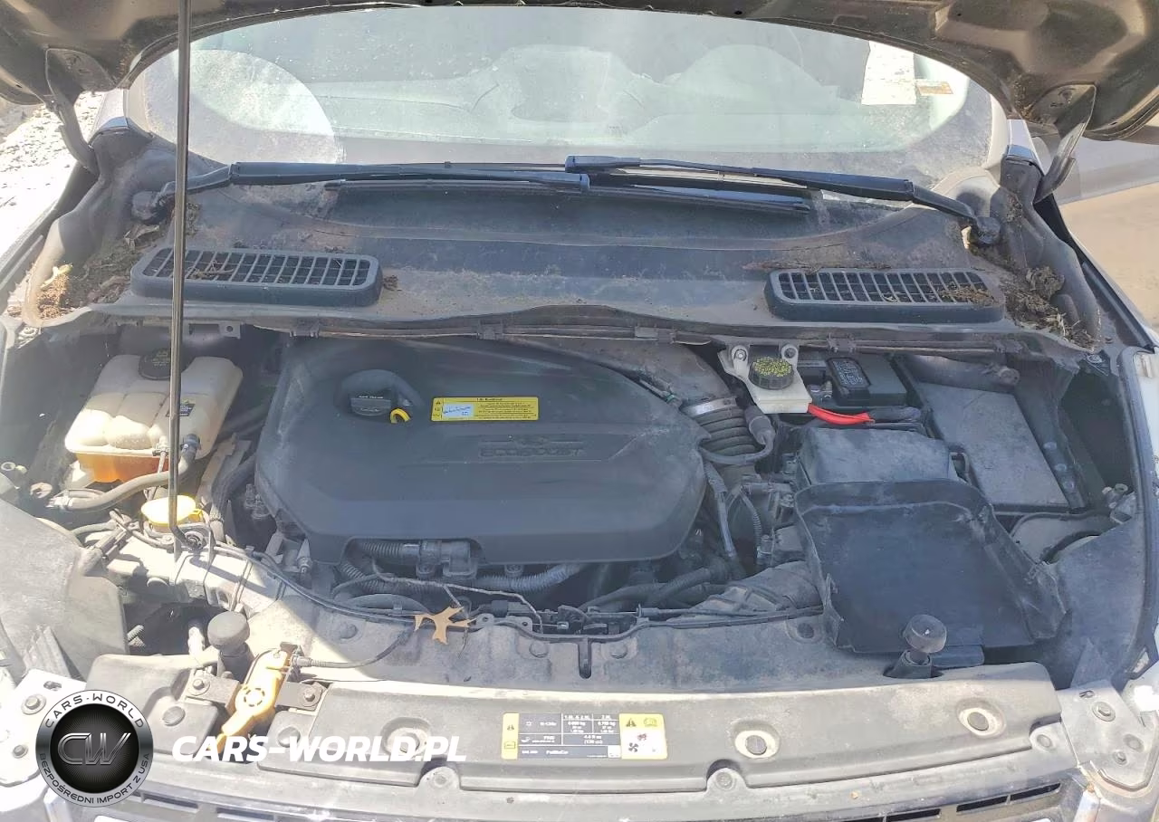 2013 Ford Escape Sel VIN:1FMCU0HX8DUB55117 - 12