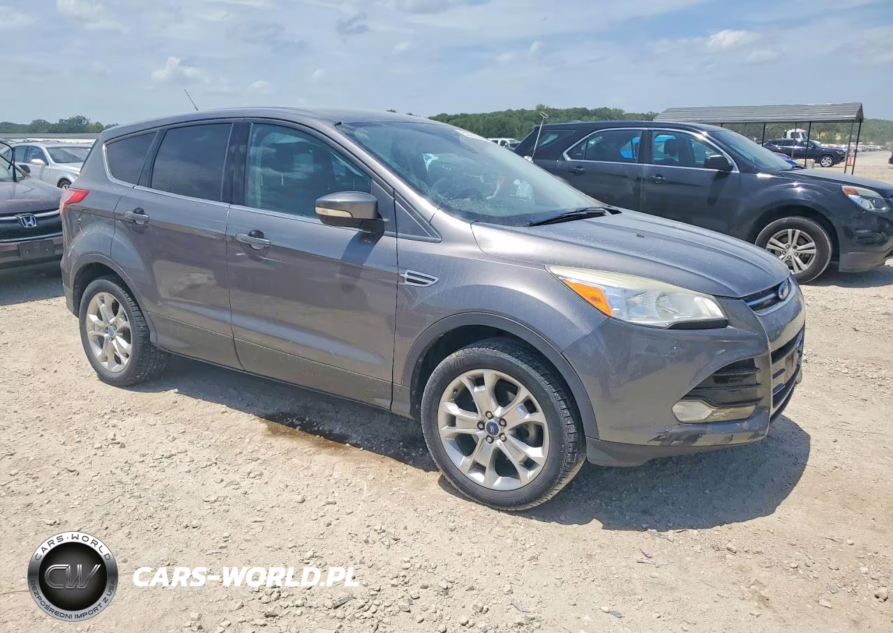 2013 Ford Escape Sel VIN:1FMCU0HX8DUB55117 - 4