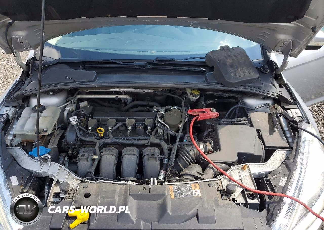 2016 Ford Focus Titanium VIN:1FADP3N24GL313978 - 11
