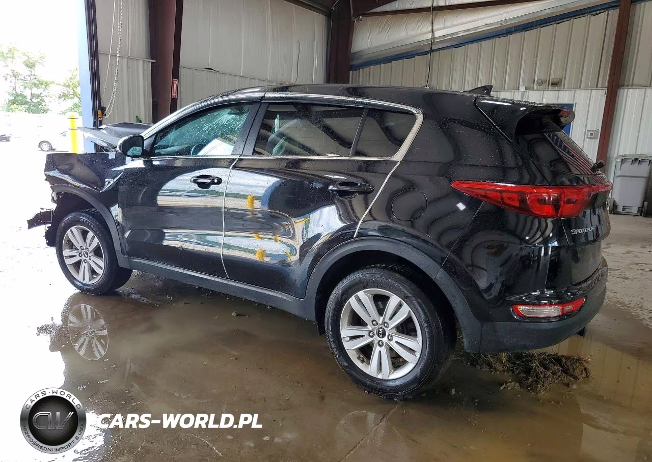 2017 Kia Sportage Lx VIN:KNDPMCAC5H7131358 - 2