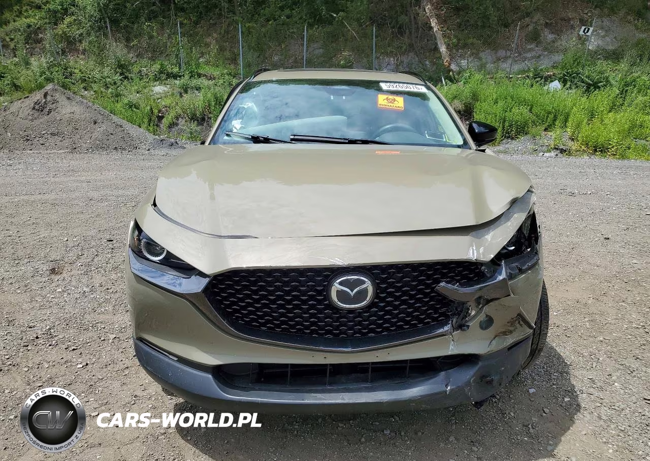2025 Mazda Cx-30 Carbon Turbo VIN:3MVDMBXY0SM784417 - 5