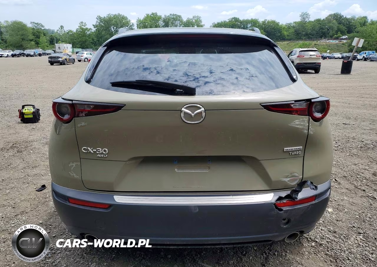2025 Mazda Cx-30 Carbon Turbo VIN:3MVDMBXY0SM784417 - 6
