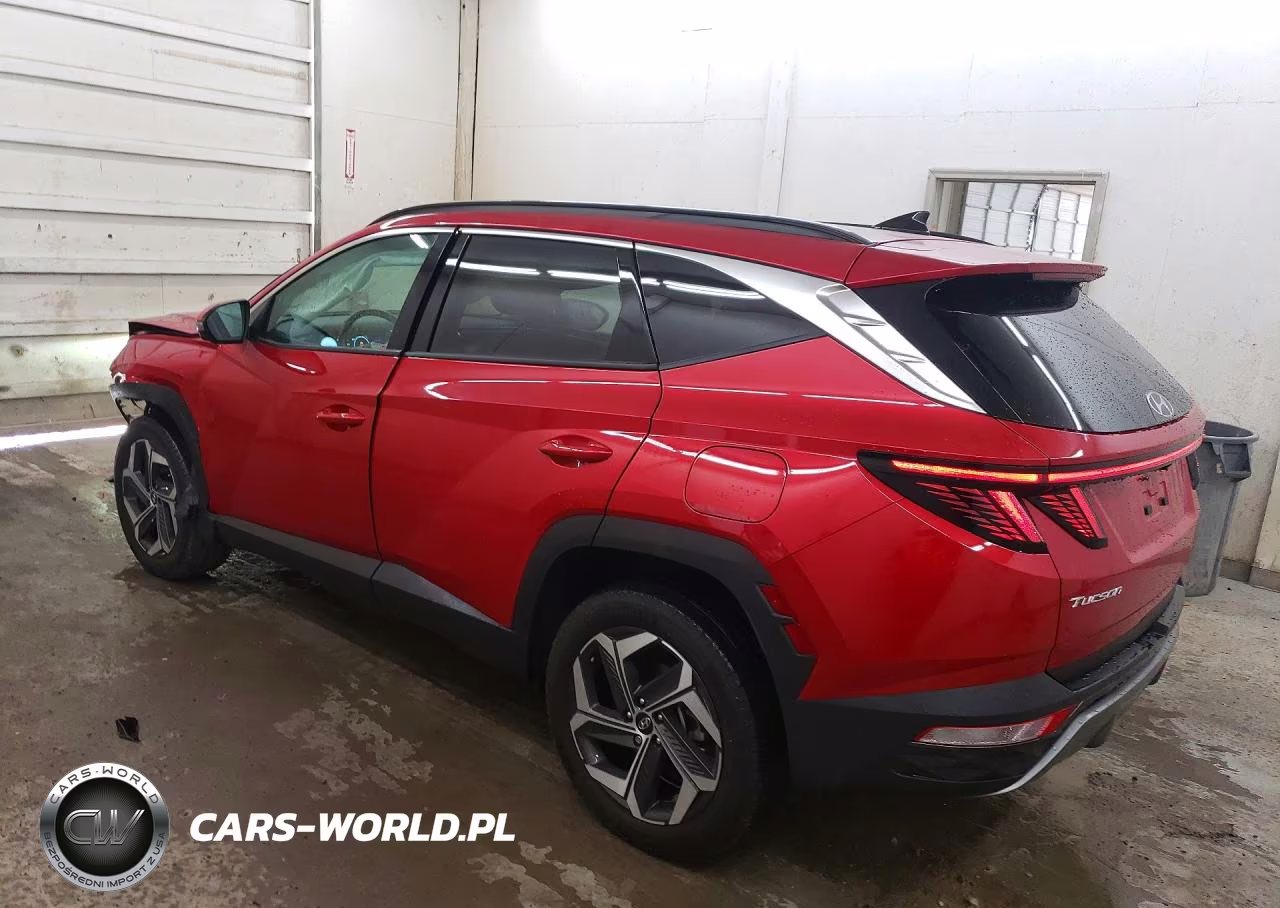 2023 Hyundai Tucson Limited VIN:5NMJECAE7PH257720 - 2