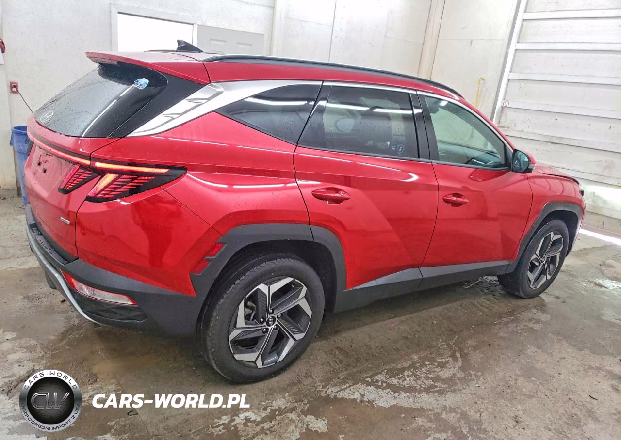 2023 Hyundai Tucson Limited VIN:5NMJECAE7PH257720 - 3