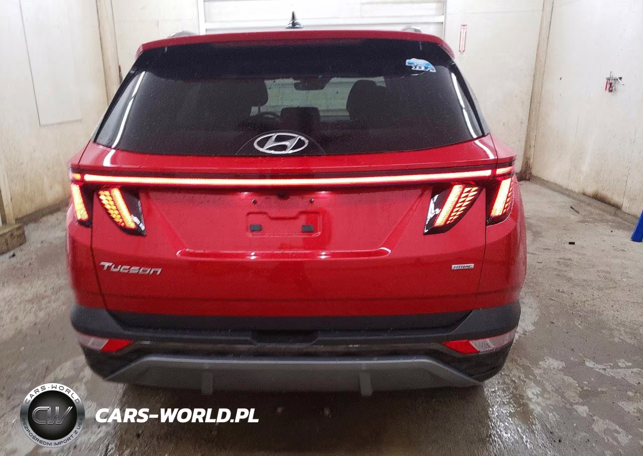2023 Hyundai Tucson Limited VIN:5NMJECAE7PH257720 - 6