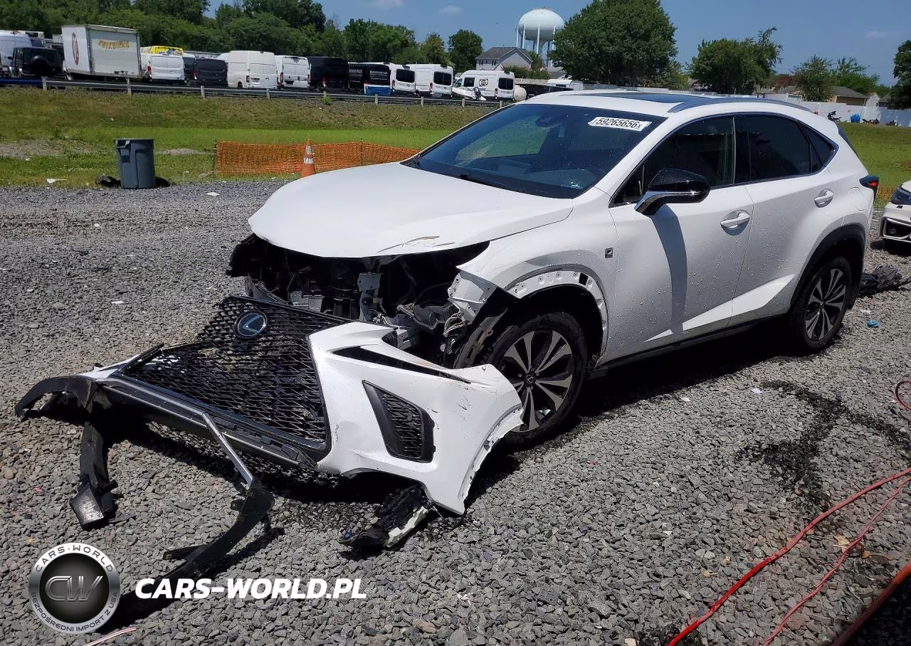 2020 Lexus Nx 300 F Sport