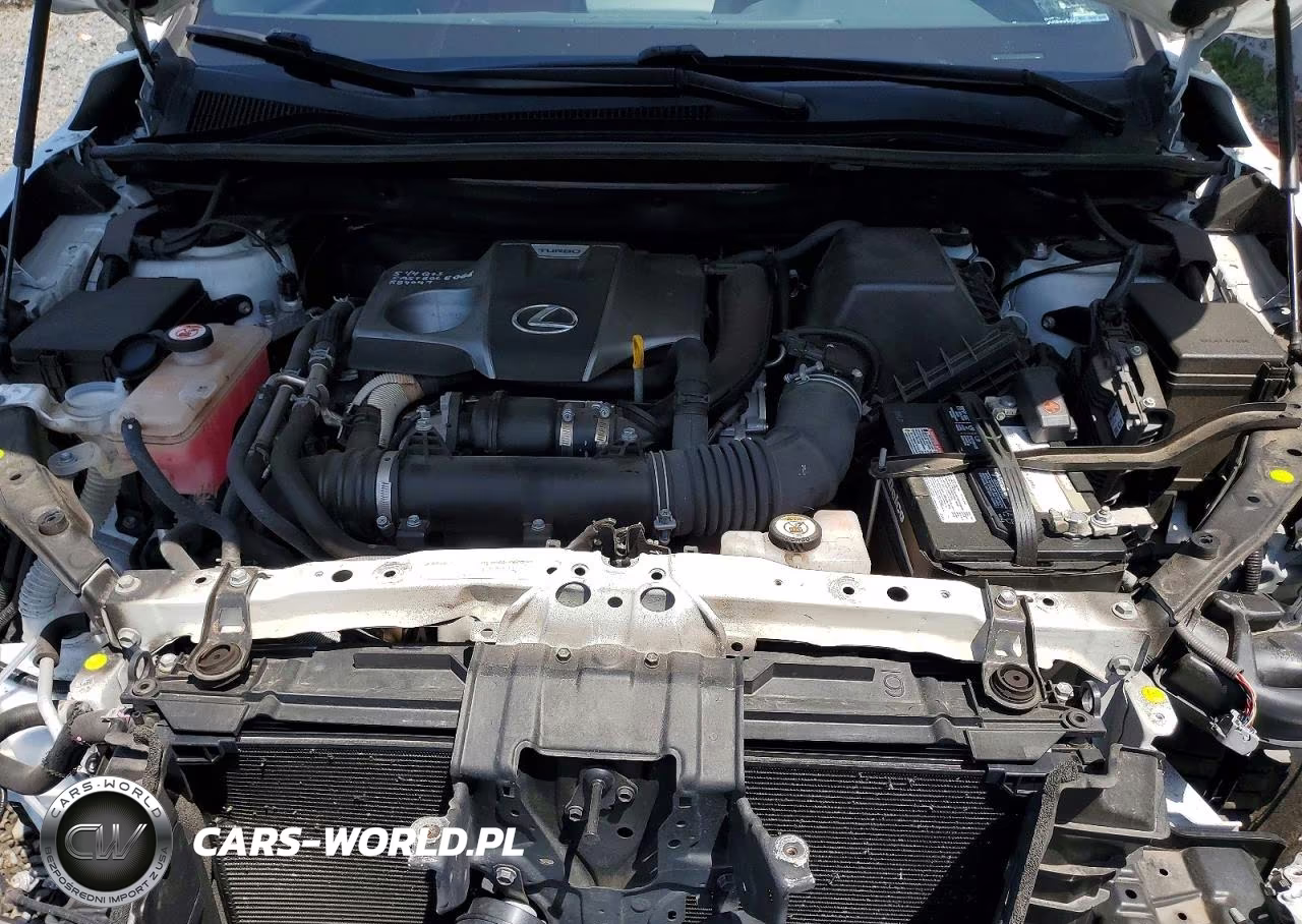 2020 Lexus Nx 300 F Sport VIN:JTJSARDZ4L5013356 - 12