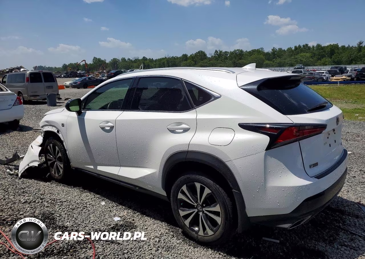 2020 Lexus Nx 300 F Sport VIN:JTJSARDZ4L5013356 - 2