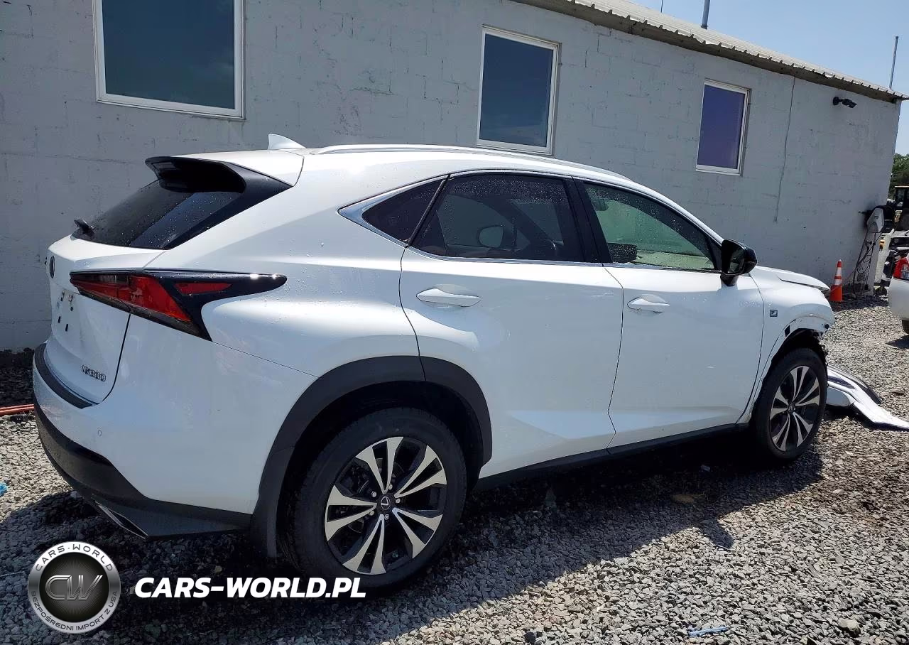 2020 Lexus Nx 300 F Sport VIN:JTJSARDZ4L5013356 - 3
