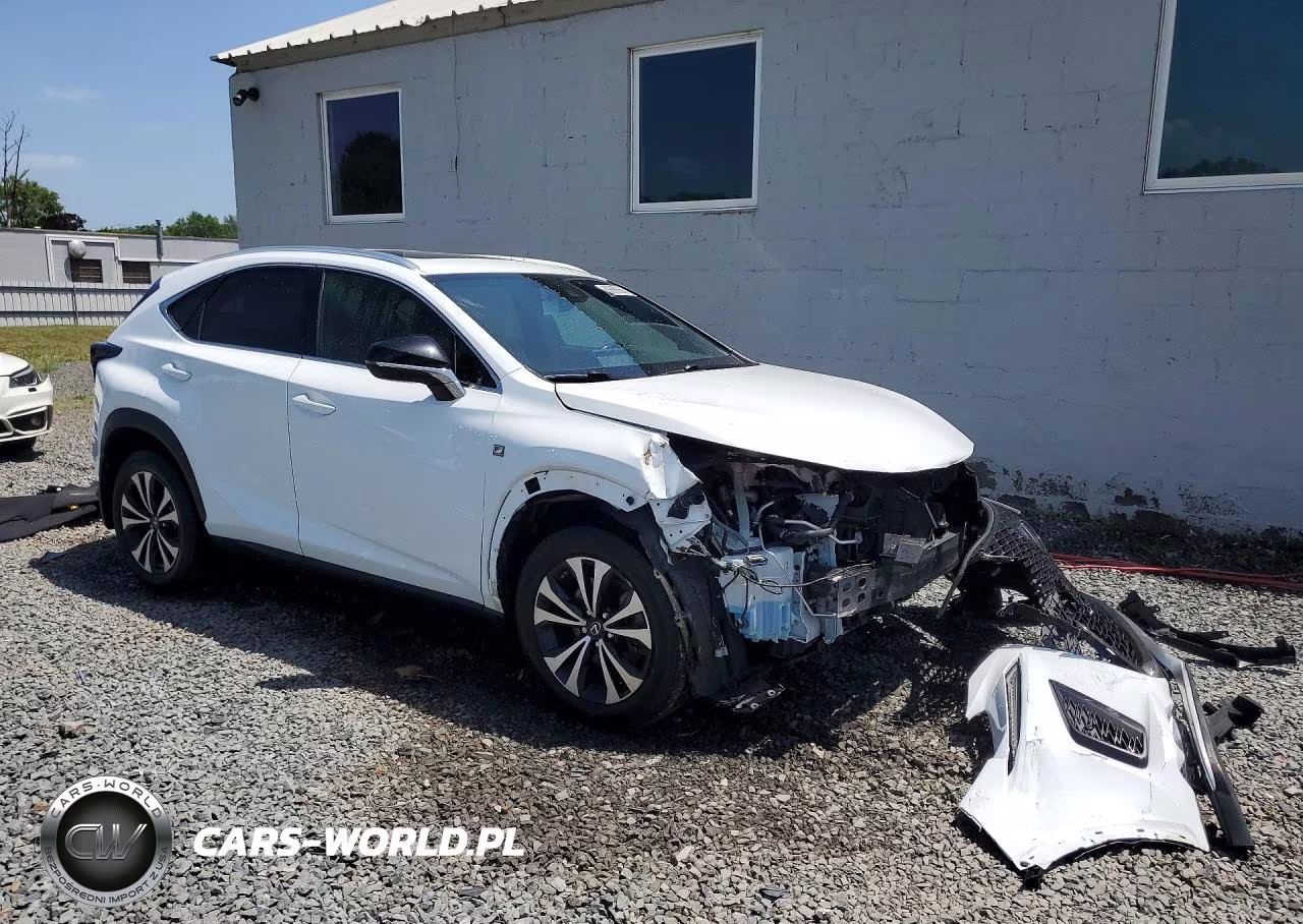 2020 Lexus Nx 300 F Sport VIN:JTJSARDZ4L5013356 - 4
