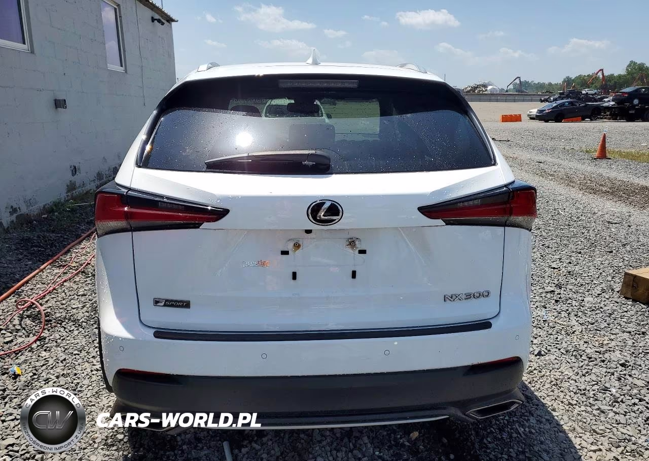 2020 Lexus Nx 300 F Sport VIN:JTJSARDZ4L5013356 - 6