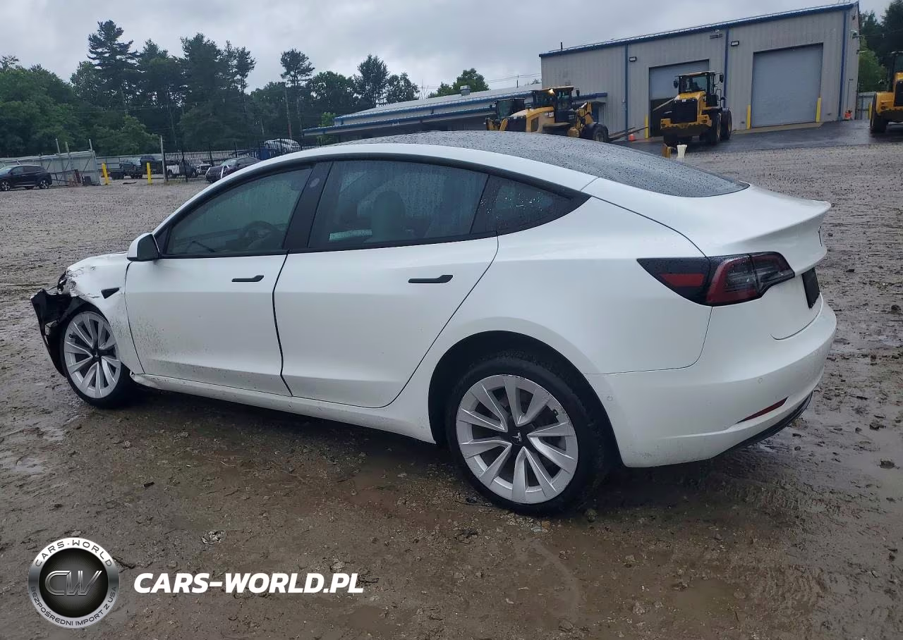 2021 Tesla Model 3 VIN:5YJ3E1EB1MF019906 - 2