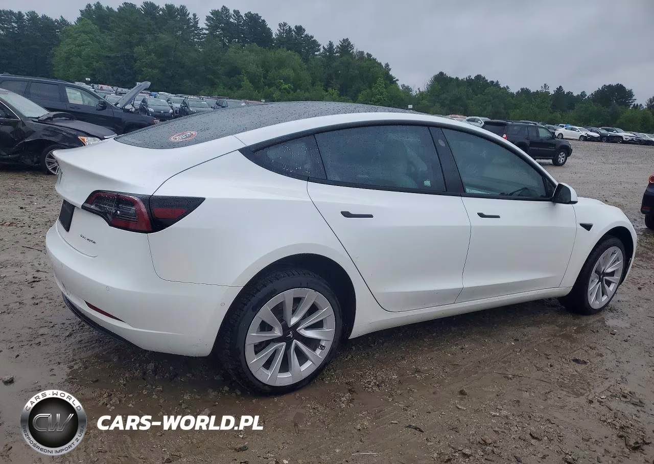 2021 Tesla Model 3 VIN:5YJ3E1EB1MF019906 - 3