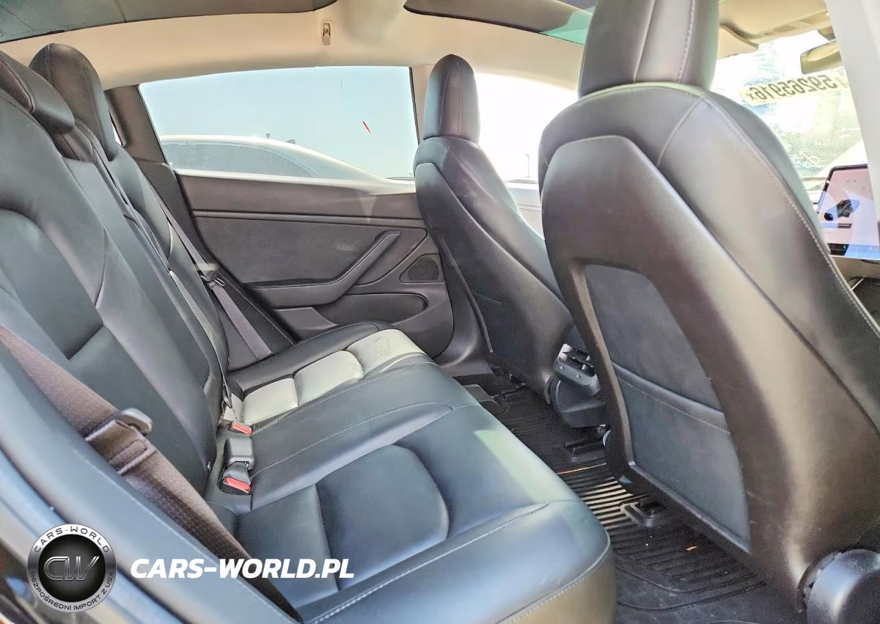 2019 Tesla Model 3 VIN:5YJ3E1EA3KF395527 - 10