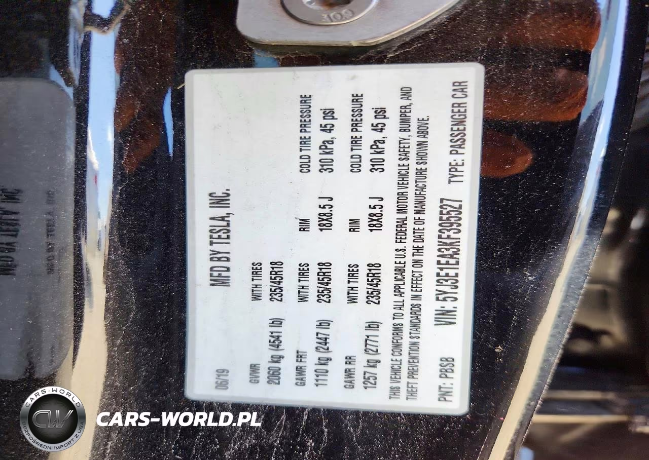 2019 Tesla Model 3 VIN:5YJ3E1EA3KF395527 - 12