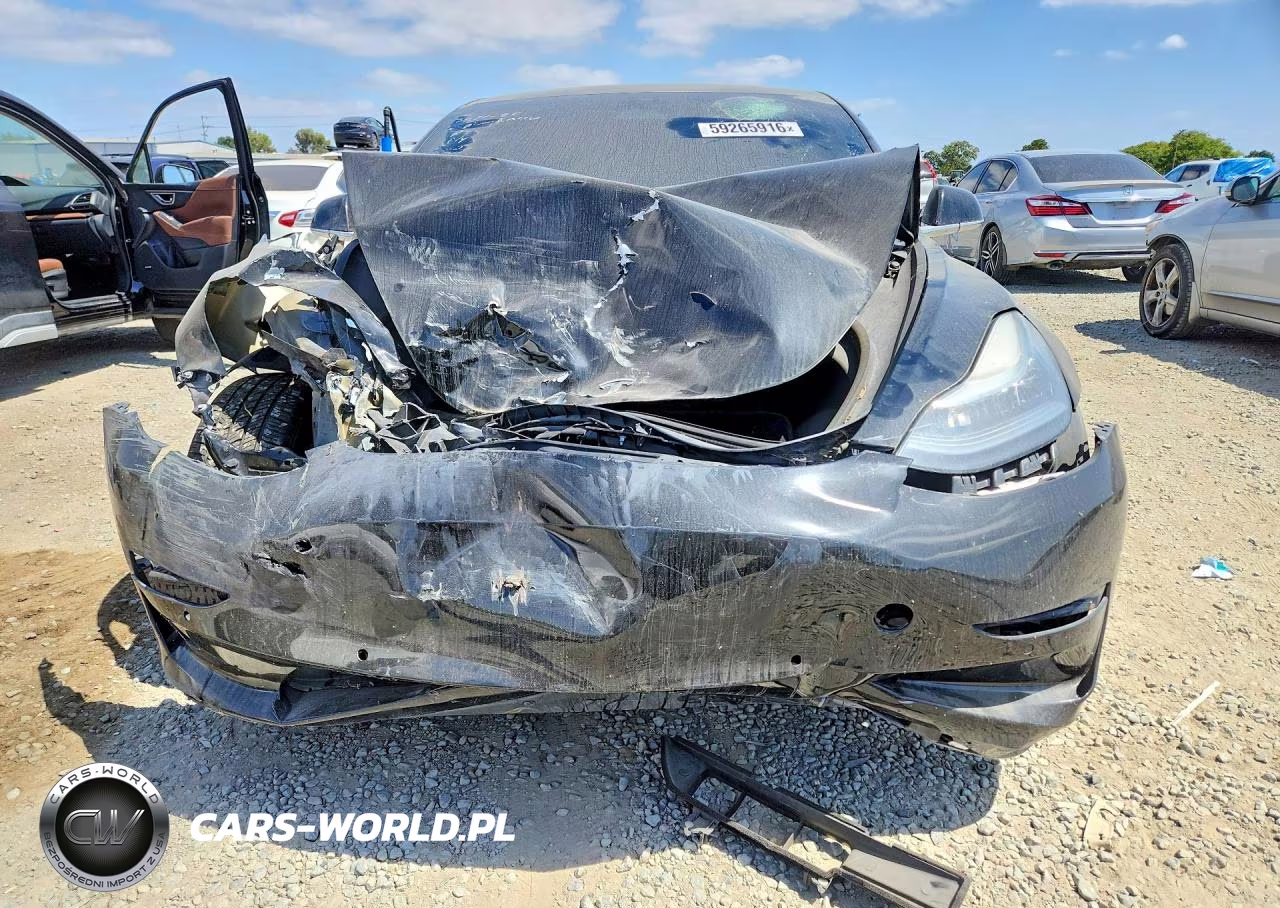 2019 Tesla Model 3 VIN:5YJ3E1EA3KF395527 - 5