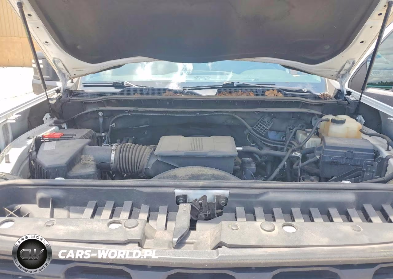 2020 Chevrolet Silverado C2500 Heavy Duty VIN:1GC1WLE7XLF305064 - 11
