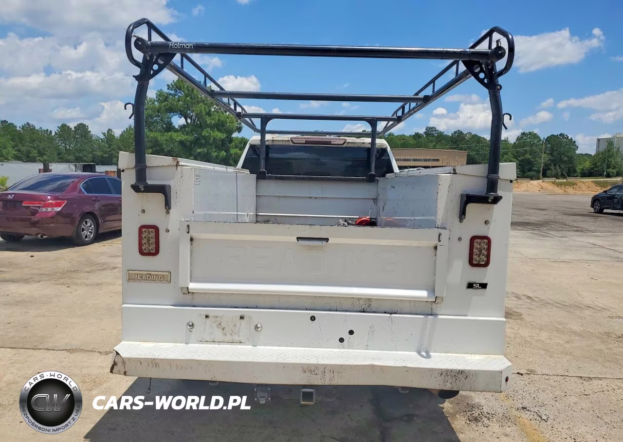 2020 Chevrolet Silverado C2500 Heavy Duty VIN:1GC1WLE7XLF305064 - 6