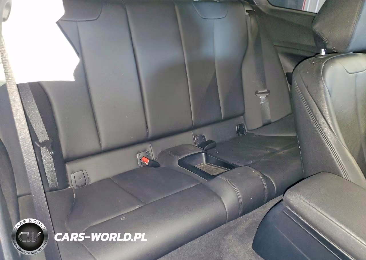 2016 BMW 228 Xi Sulev VIN:WBA1G9C54GV726630 - 10